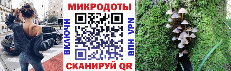 Купить закладки  Верхотурье  Псилоцибиновые грибы Psilocybe 